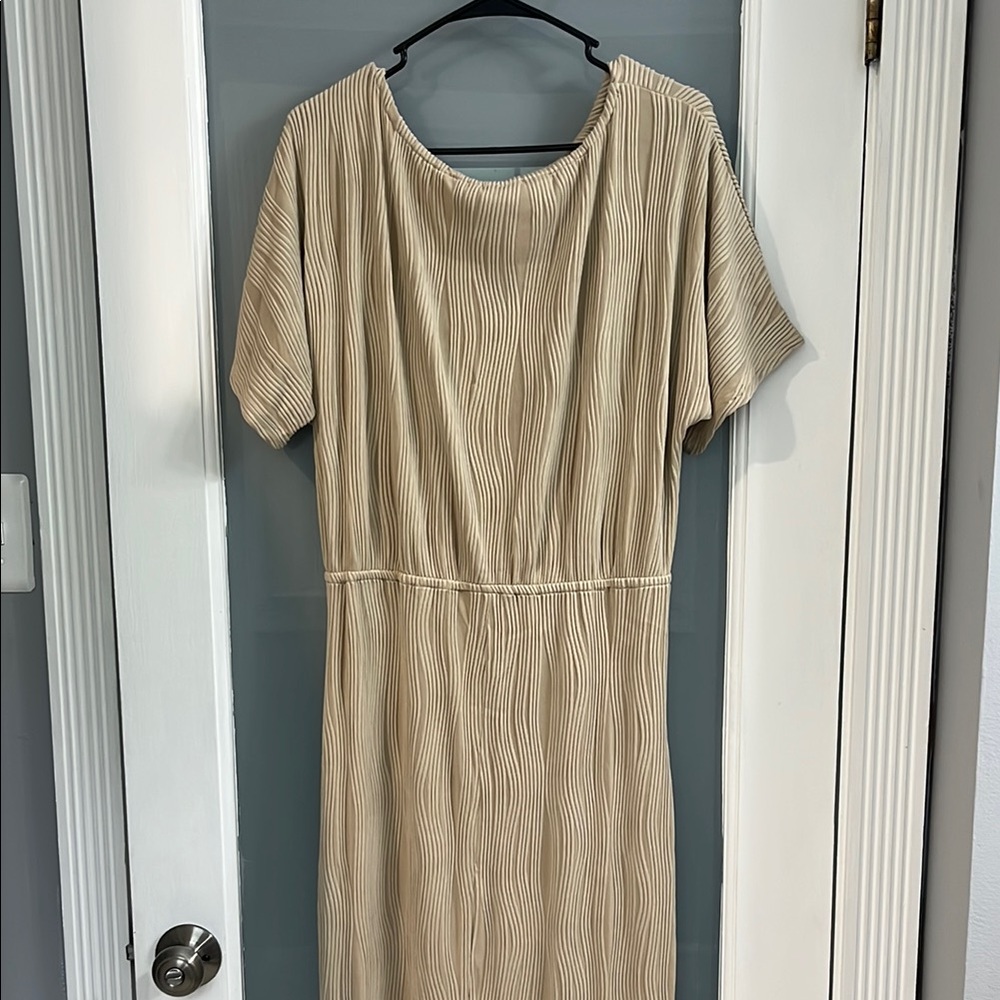 Elegant Tan Dress